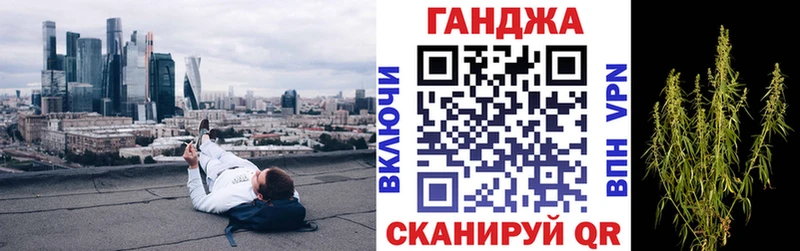 Конопля индика закладки Струнино
